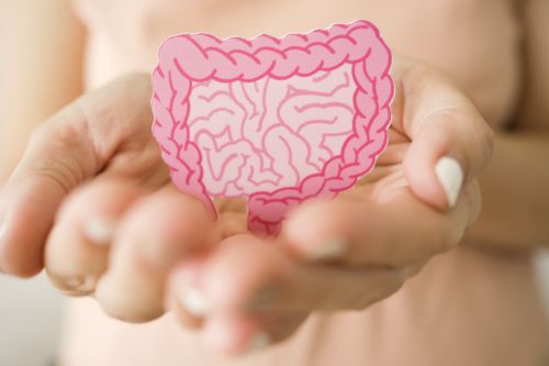 The Gut Stuff