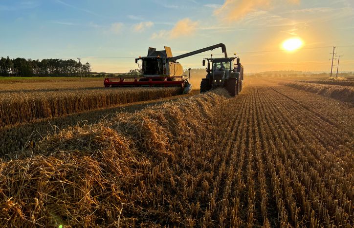 Ploughing A Field