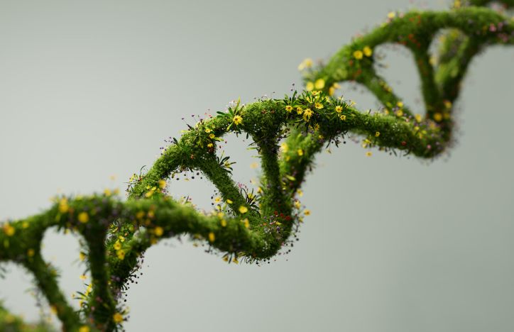 Green DNA Helix