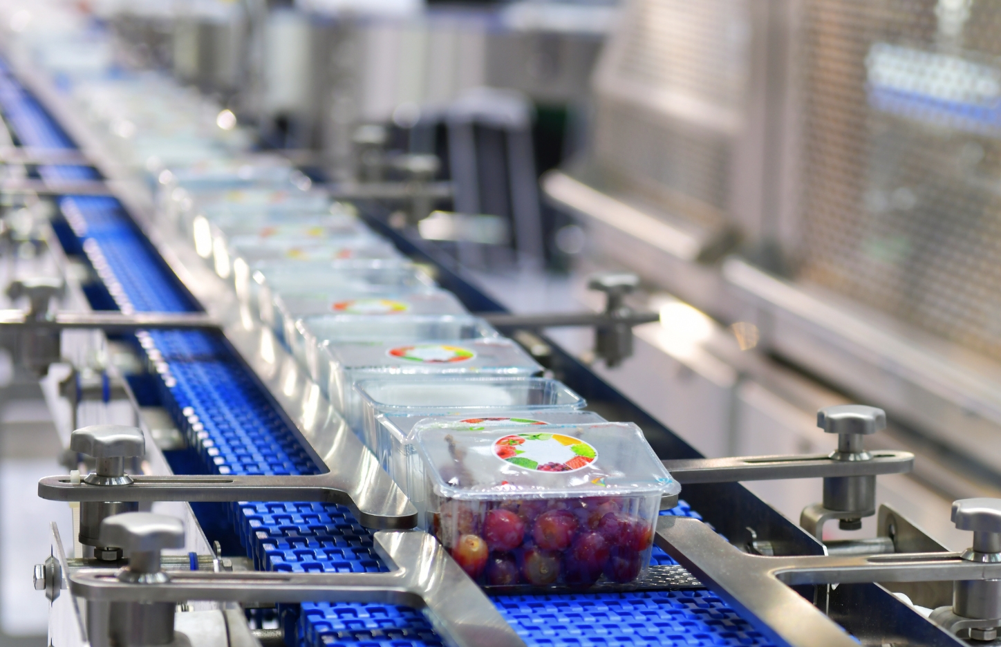 Food Packaging On Conveyor Belt