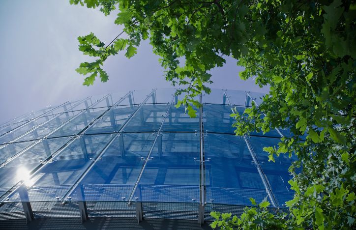 Outside of office with green leaves.jpg