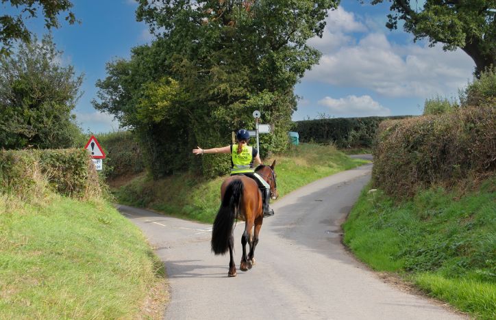 Woman On A Horse In The Countryside